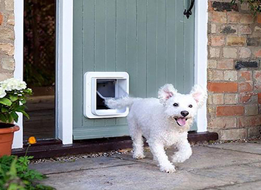 pet flap installation