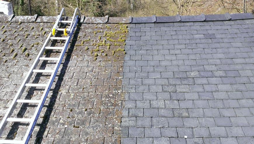 Moss Growing On Roof Shingles Roof Shingles Roof Design Shingling