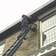 painting fascias and soffits