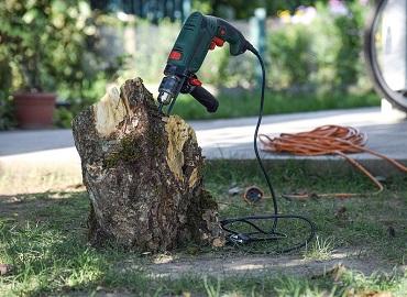 Remove tree stump