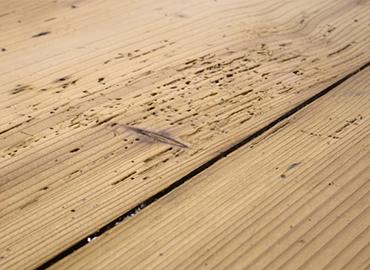treating woodworm